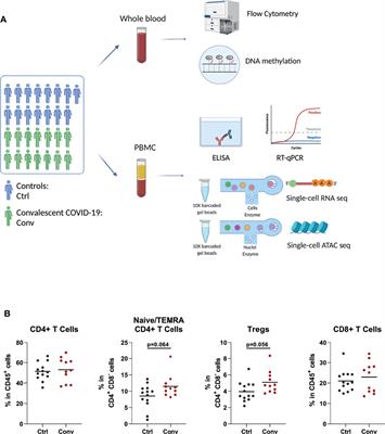 Multi-Omics Integration Reveals Only Minor Long-Term Molecular and Functional Sequelae in Immune Cells of Individuals Recovered From COVID-19